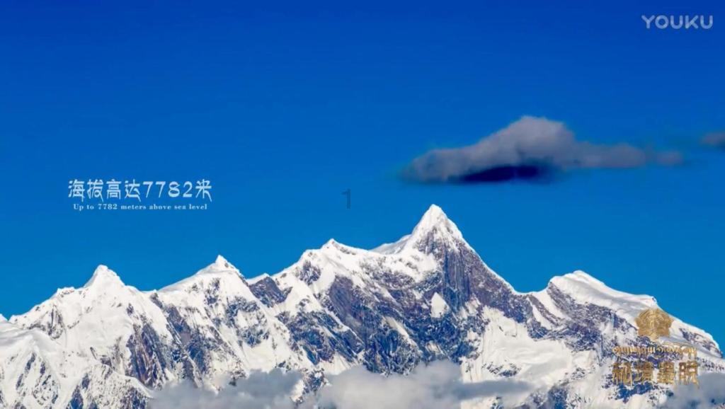 宝宝为什么总吐奶？竖抱拍背有危险！避坑经验都帮你总结出来了